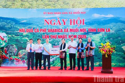 Cà phê Arabica - cây làm giàu cho đồng bào Sơn La