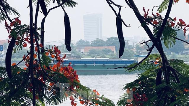 Bầu trời Sài Gòn âm u, chìm trong sương mù - Ảnh 8. Bầu trời Sài Gòn âm u, chìm trong sương mù - Ảnh 8.