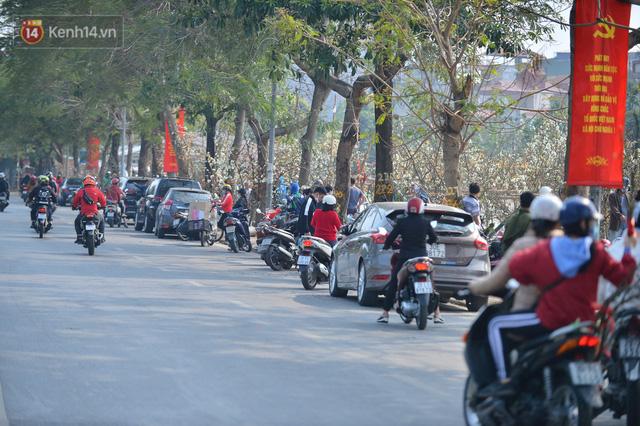 Ảnh: Hàng trăm người dân Hà Nội đổ xô đi mua hoa lê về chơi Rằm tháng Giêng - Ảnh 4. Ảnh: Hàng trăm người dân Hà Nội đổ xô đi mua hoa lê về chơi Rằm tháng Giêng - Ảnh 4.