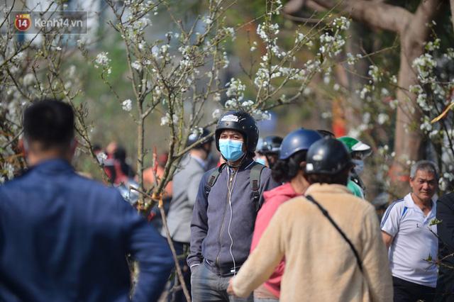 Ảnh: Hàng trăm người dân Hà Nội đổ xô đi mua hoa lê về chơi Rằm tháng Giêng - Ảnh 12. Ảnh: Hàng trăm người dân Hà Nội đổ xô đi mua hoa lê về chơi Rằm tháng Giêng - Ảnh 12.