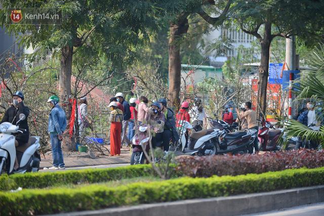 Ảnh: Hàng trăm người dân Hà Nội đổ xô đi mua hoa lê về chơi Rằm tháng Giêng - Ảnh 5. Ảnh: Hàng trăm người dân Hà Nội đổ xô đi mua hoa lê về chơi Rằm tháng Giêng - Ảnh 5.