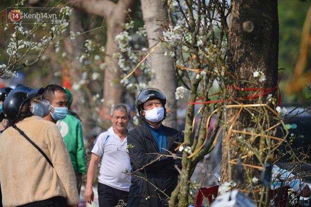 Ảnh: Hàng trăm người dân Hà Nội đổ xô đi mua hoa lê về chơi Rằm tháng Giêng - Ảnh 10. Ảnh: Hàng trăm người dân Hà Nội đổ xô đi mua hoa lê về chơi Rằm tháng Giêng - Ảnh 10.