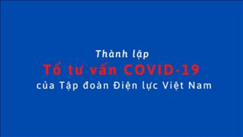 Thành lập Tổ tư vấn COVID-19 của Tập đoàn Điện lực Việt Nam