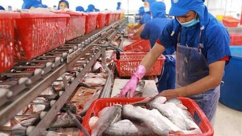 Việt Nam-EU thúc đẩy hợp tác thương mại về nông, lâm, thủy sản