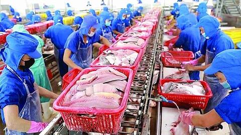 Xuất khẩu thủy sản: Kỳ vọng từ các mặt hàng chủ lực