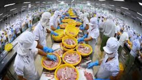 Nhu cầu thủy sản của Mỹ và EU có thể tiếp tục tăng mạnh trong năm 2022