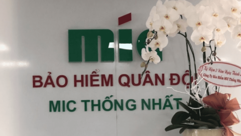 MIG sắp phát hành 21,45 triệu cổ phiếu trả cổ tức năm 2021 tỷ lệ 15%