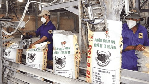 Phân bón Bình Điền (BFC) dự kiến chi 114,3 tỷ đồng trả cổ tức 2021