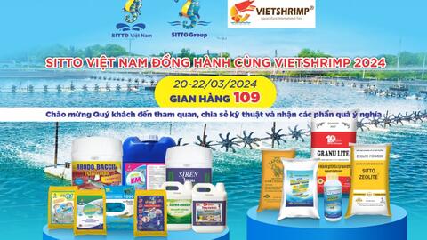 Sitto Việt Nam đồng hành cùng Vietshirmp 2024