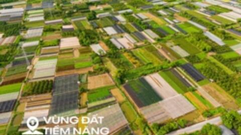 Đại dự án khu công nghệ cao sinh học, tổng vốn đầu tư hơn một tỷ USD, rộng bằng nửa quận Hoàn Kiếm giờ ra sao?