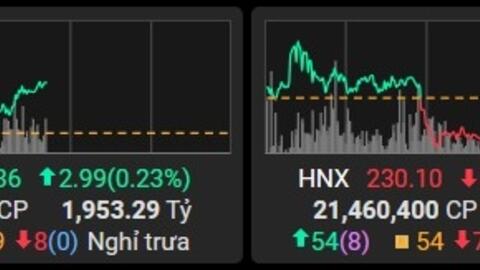 VN-Index “xanh vỏ đỏ lòng”, trái chiều AGM và NVL