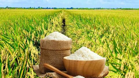 Tiêu điểm 24h