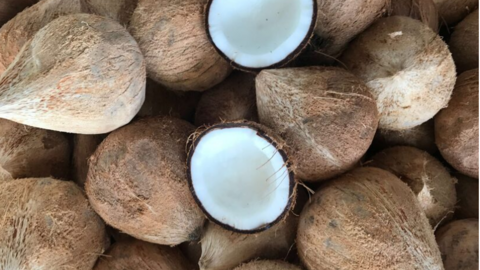 Vì sao nông sản Việt mãi xuất thô?