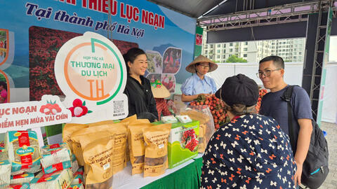 Tiêu điểm 24h