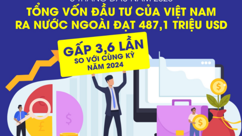 Tổng vốn đầu tư của Việt Nam ra nước ngoài đạt 487,1 triệu USD