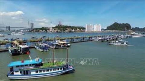 Tiêu điểm 24h