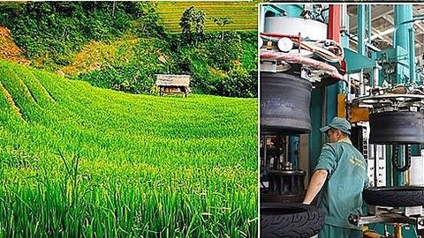 Thu NSNN từ hoạt động XNK đạt gần 300.000 tỷ đồng