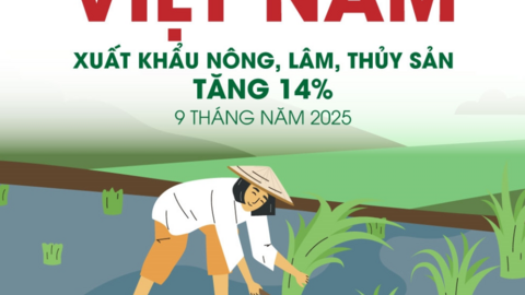 Xuất khẩu nông, lâm, thủy sản của Việt Nam tăng 14% trong 9 tháng năm 2025