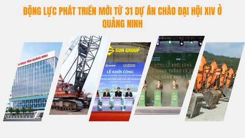 Tiêu điểm 24h