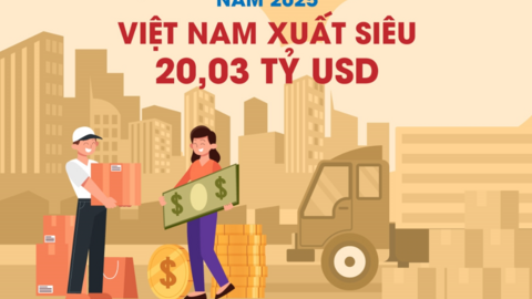 Tiêu điểm 24h