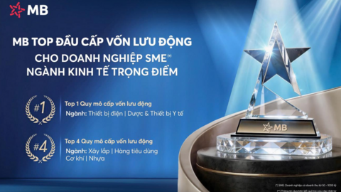 Tiêu điểm 24h