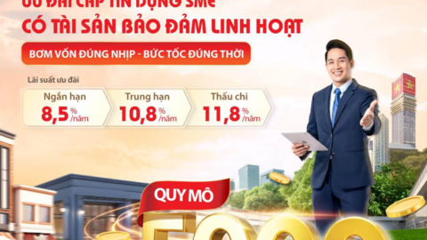 Tiêu điểm 24h