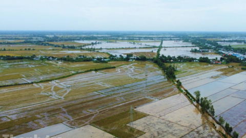 Tiêu điểm 24h