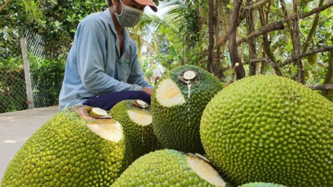 Tiêu điểm 24h
