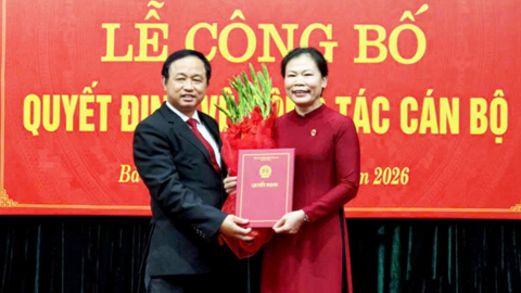 Tiêu điểm 24h