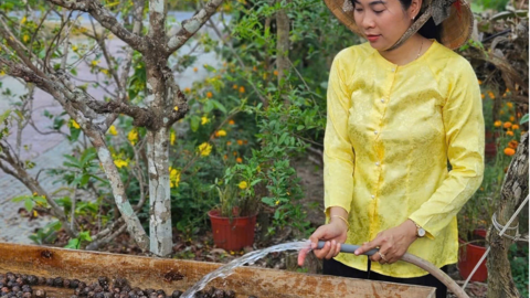 Tiêu điểm 24h