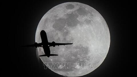 Tiêu điểm 24h