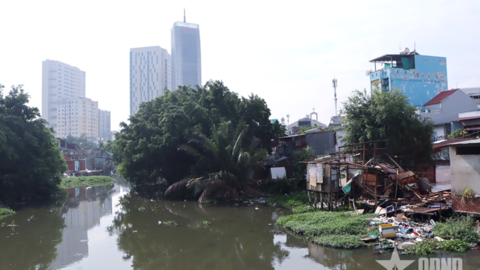 Tiêu điểm 24h