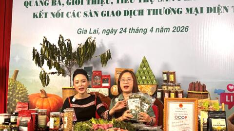 Tiêu điểm 24h