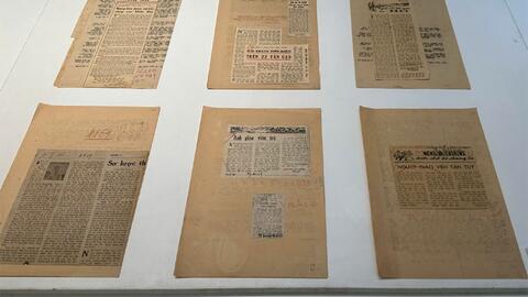 Tiêu điểm 24h