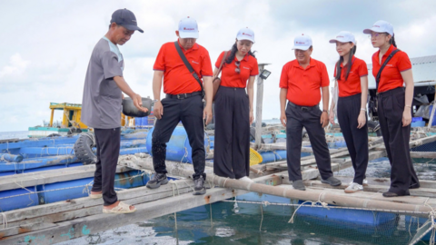 Tiêu điểm 24h