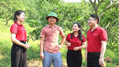 Tiêu điểm 24h