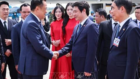 Tiêu điểm 24h