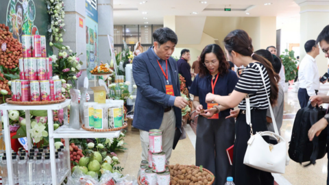 Tiêu điểm 24h
