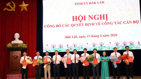 Tiêu điểm 24h