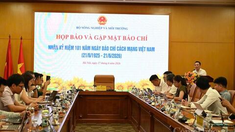Tiêu điểm 24h