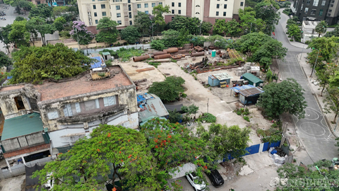 Tiêu điểm 24h