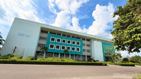Tiêu điểm 24h