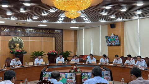 Tiêu điểm 24h