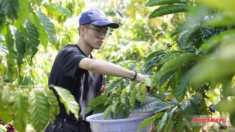 Tiêu điểm 24h