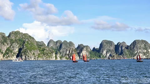Tiêu điểm 24h
