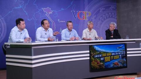 Tiêu điểm 24h