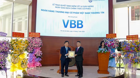 Tiêu điểm 24h