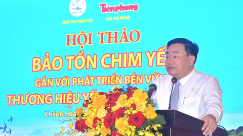 Tiêu điểm 24h
