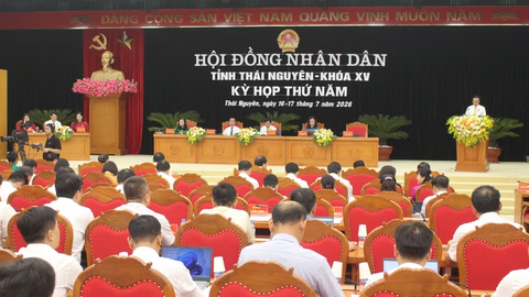 Tiêu điểm 24h