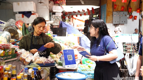 Tiêu điểm 24h